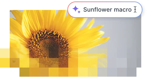 Built-In Stock Image Library