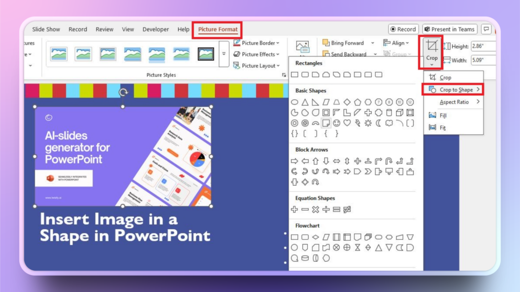 picture format tab