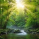 Sunlight filtering through lush green forest trees over a moss-covered rocky stream.