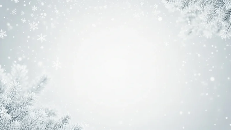 Frosted pine branches with falling snowflakes on a soft gray winter background.