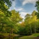 A serene forest scene with green trees and a calm river under a partly cloudy sky.