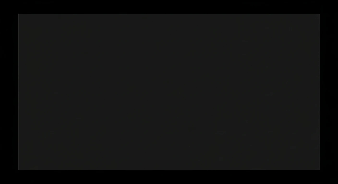 A completely black rectangular image with no distinguishable objects or text.