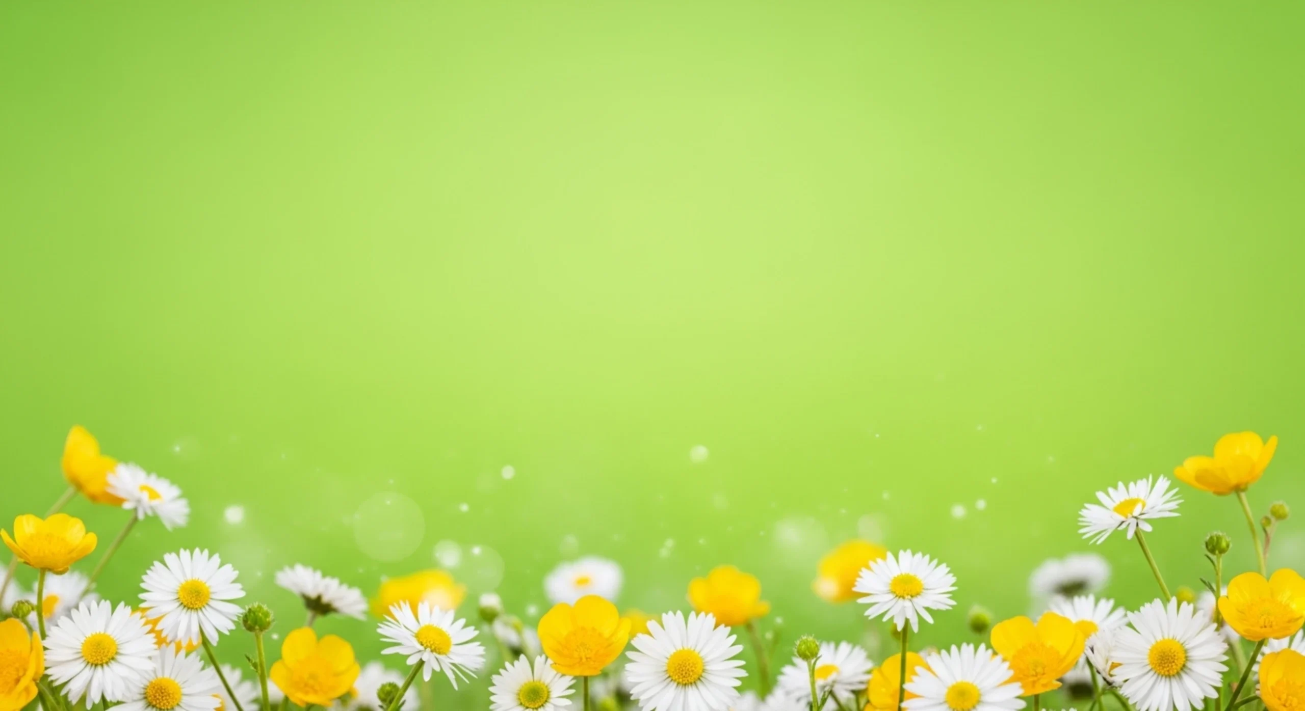 Yellow buttercup and white daisy flowers against a soft green blurred background.