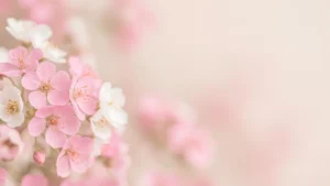 Close-up of delicate pink and white cherry blossoms with soft pastel background.