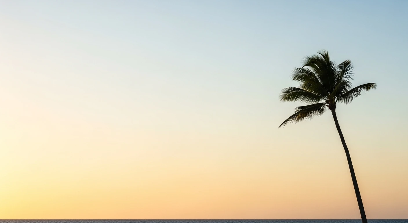Single tall palm tree silhouetted against a clear sky during sunset over the ocean.