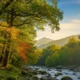 River flowing through a forest with autumn foliage and distant mountains under a clear sky.