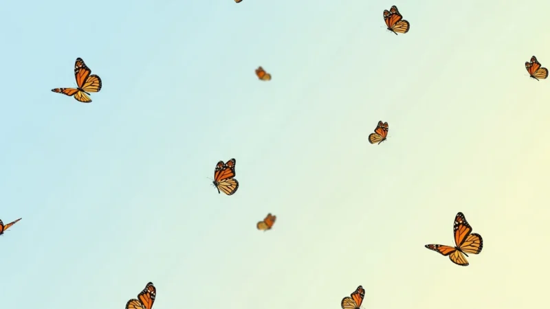 butterfly powerpoint background 1.931Z Orange and black monarch butterflies flying against a gradient blue to pale yellow sky.