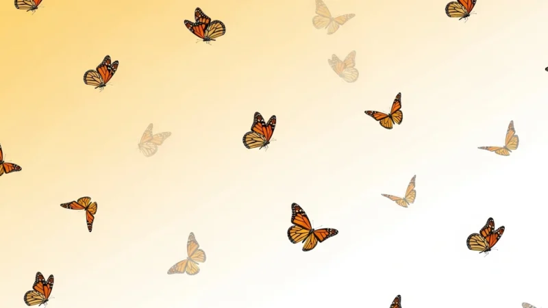 butterfly powerpoint background.301Z Orange and black monarch butterflies flying against a light gradient background.