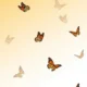 Orange and black monarch butterflies flying against a light gradient background.