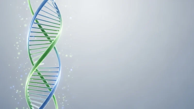3D illustration of a blue and green DNA double helix strand on a gray background.