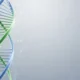 3D illustration of a blue and green DNA double helix strand on a gray background.