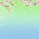 Branches of pink cherry blossoms with water droplets on a green and blue gradient background.