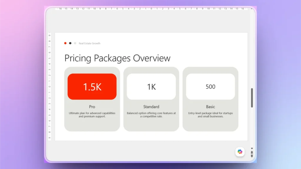 Pricing packages overview slide with Pro, Standard, and Basic options and descriptions.