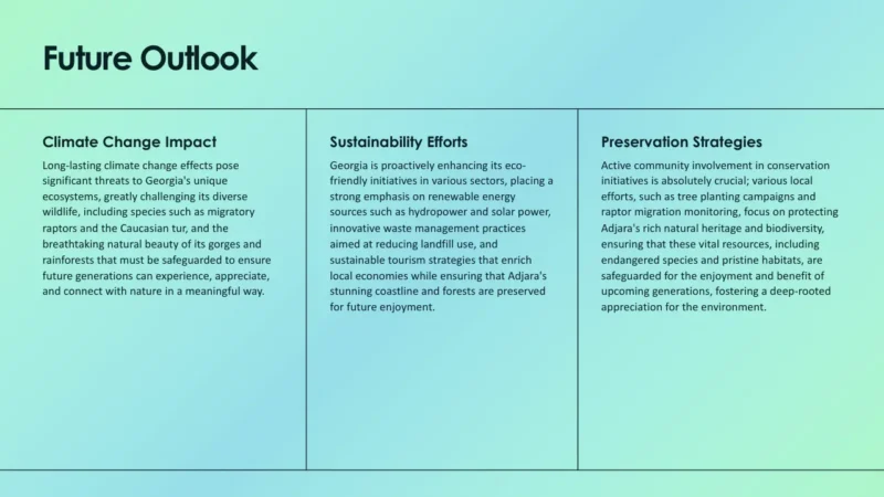 3text-box-v1-batumi Text slide titled "Future Outlook" with sections on Climate Change Impact, Sustainability Efforts, and Preservation Strategies on a blue-green gradient background.
