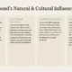 Informational graphic detailing Flower Mound's global impact, local art, traditions, and modern influences.