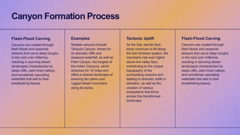 4text-box-v1-palm-springs Informational slide on canyon formation process with text blocks on flash-flood carving, examples, and tectonic uplift.
