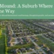 Aerial view of a suburban neighborhood with green spaces and residential houses.