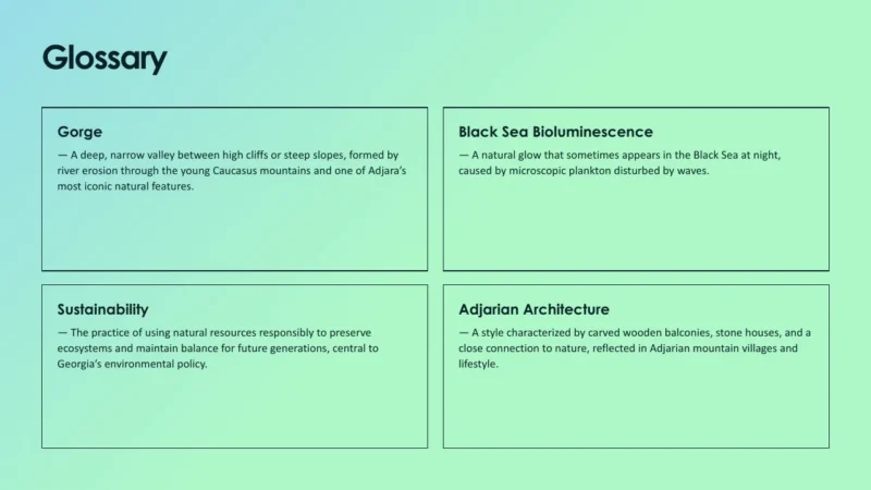 glossary-batumi Glossary page with definitions of Gorge, Black Sea Bioluminescence, Sustainability, and Adjarian Architecture on a light green background.