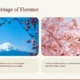 Two images of pink cherry blossoms against blue skies, with text about Florence's cultural heritage.