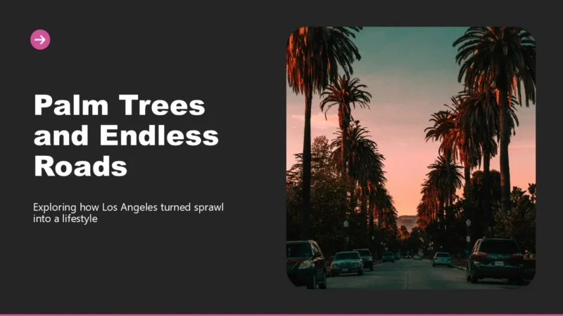 los-angeles-title Sunset view of a palm tree-lined street with parked cars under a colorful sky.