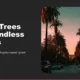Sunset view of a palm tree-lined street with parked cars under a colorful sky.