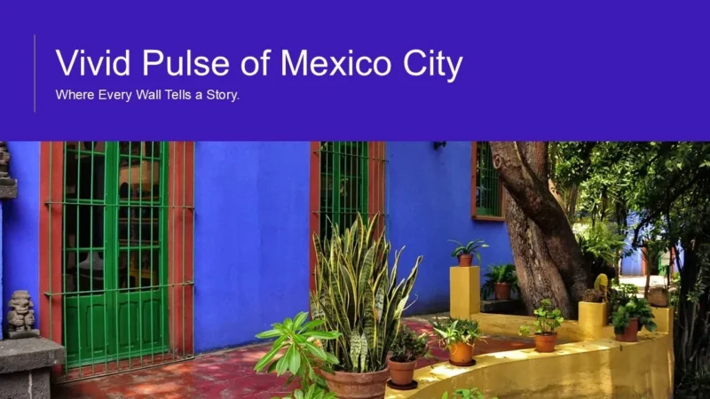 mexico-city-title Colorful outdoor scene with vibrant blue wall, green doors, and potted plants in Mexico City.