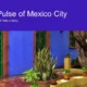 Colorful outdoor scene with vibrant blue wall, green doors, and potted plants in Mexico City.
