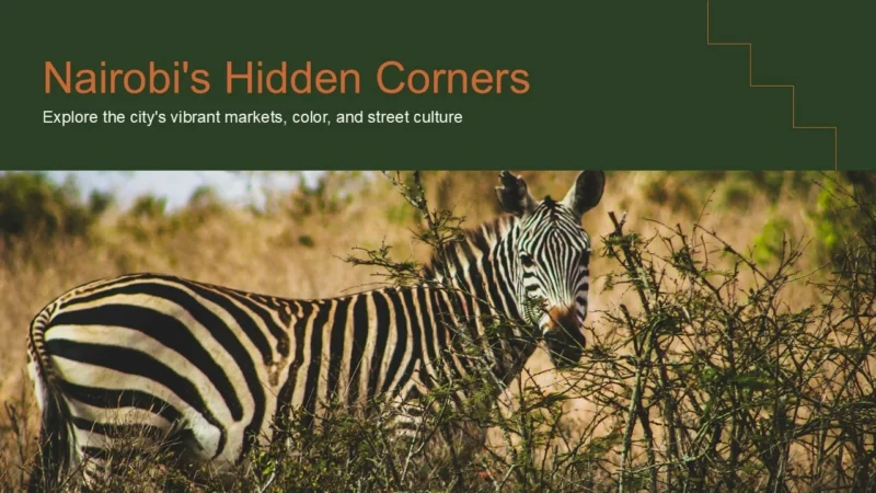 nairobi-title Image of a zebra standing in dry grass and bushes under the text "Nairobi's Hidden Corners.