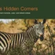 Image of a zebra standing in dry grass and bushes under the text "Nairobi's Hidden Corners.
