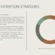 Infographic titled "Forest Restoration Strategies" with text overview and a multicolored donut chart.