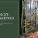 Text slide with title "Portland's Wild Backyard" and subtitle about Forest Park, next to a sunlit forest trail covered in autumn leaves.
