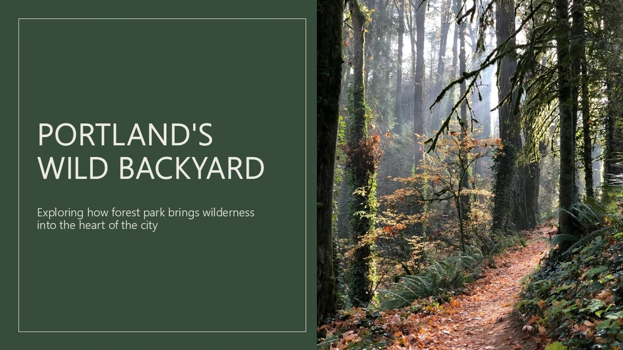 Text slide with title "Portland's Wild Backyard" and subtitle about Forest Park, next to a sunlit forest trail covered in autumn leaves.