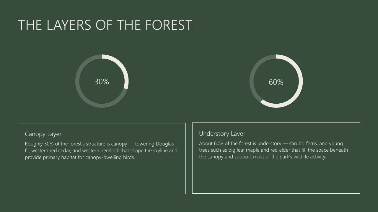 Infographic titled "The Layers of the Forest" with two circular charts and descriptive text on canopy and understory layers.