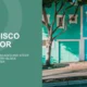 Alt text: Turquoise-painted residential building with white trim and two trees on a steep San Francisco street.