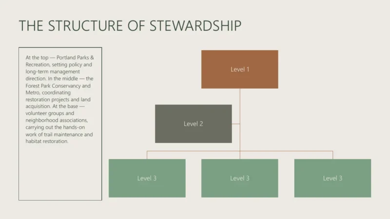 structure Organizational chart titled "The Structure of Stewardship" with three hierarchical levels and descriptive text on Portland Parks and Recreation roles.