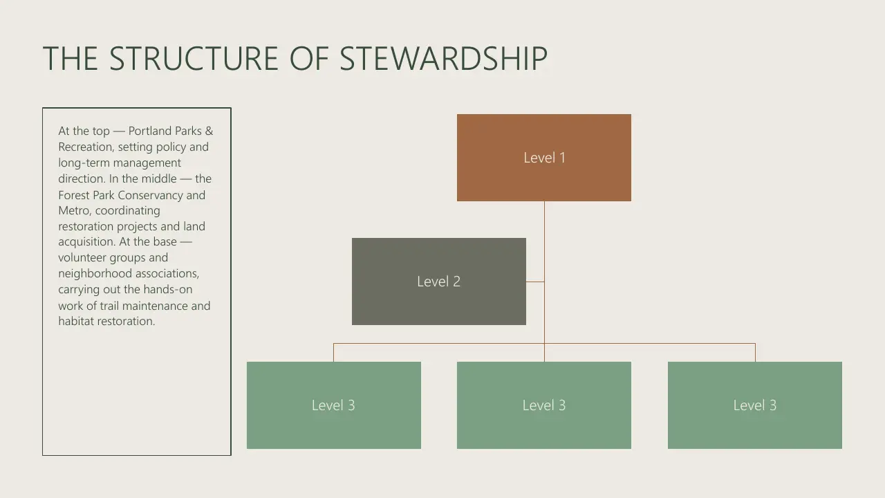 Organizational chart titled "The Structure of Stewardship" with three hierarchical levels and descriptive text on Portland Parks and Recreation roles.
