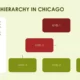 Organizational chart titled "Business Hierarchy in Chicago" with three levels in red and green boxes.