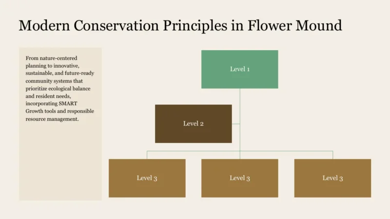 structure-flower-mound Organizational chart titled "Modern Conservation Principles in Flower Mound" with text and colored level boxes.