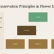 Organizational chart titled "Modern Conservation Principles in Flower Mound" with text and colored level boxes.