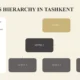 Organizational chart titled "Business Hierarchy in Tashkent" with four levels and descriptive text on beige background.