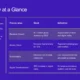 Professional infographic titled "Mexico City at a Glance" with focus areas, goals, initiatives, and success metrics on a purple background.