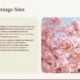 Slide titled "Cultural Heritage Sites" with text about basilicas on the left and a photo of pink cherry blossoms against a blue sky on the right.