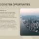 Aerial view of a city skyline at dusk with surrounding water, accompanied by text on startup funding opportunities.