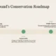 Timeline infographic titled "Flower Mound's Conservation Roadmap" with milestones for 2025, 2030, and 2035.