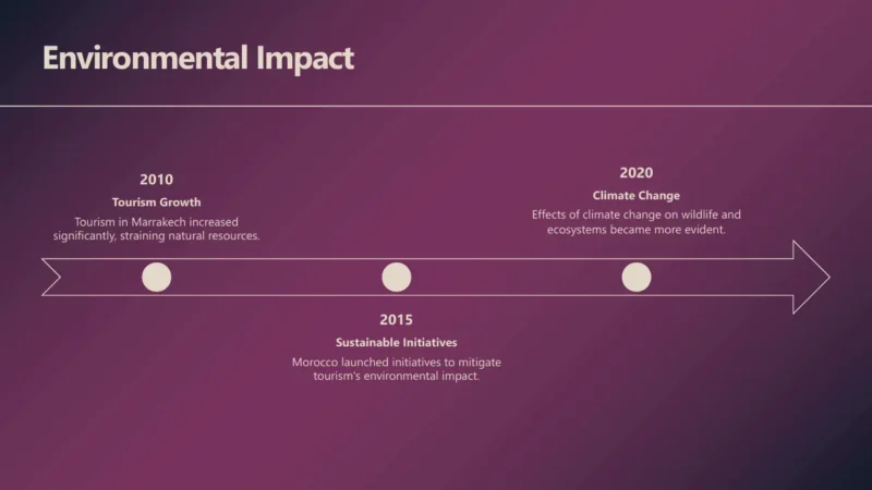 timeline-marrakech Timeline infographic with purple background showing environmental impact from 2010 to 2020.